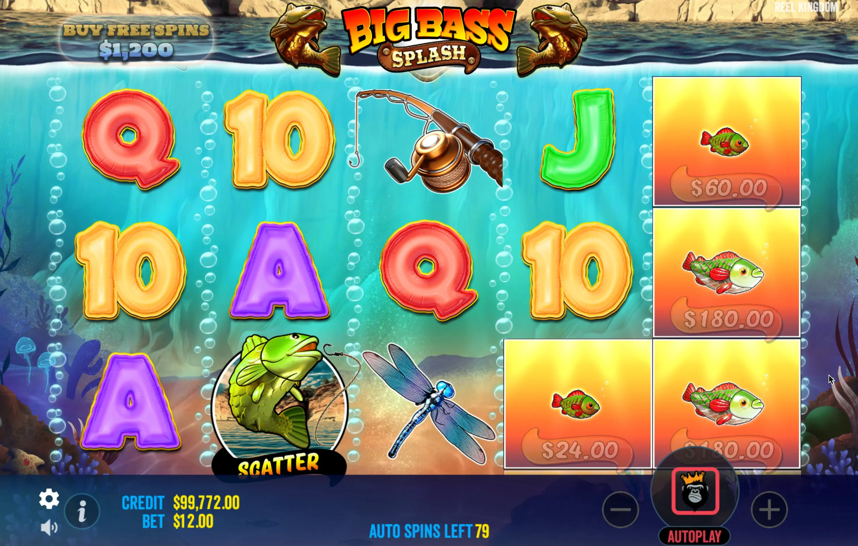 Registro Big Bass Splash