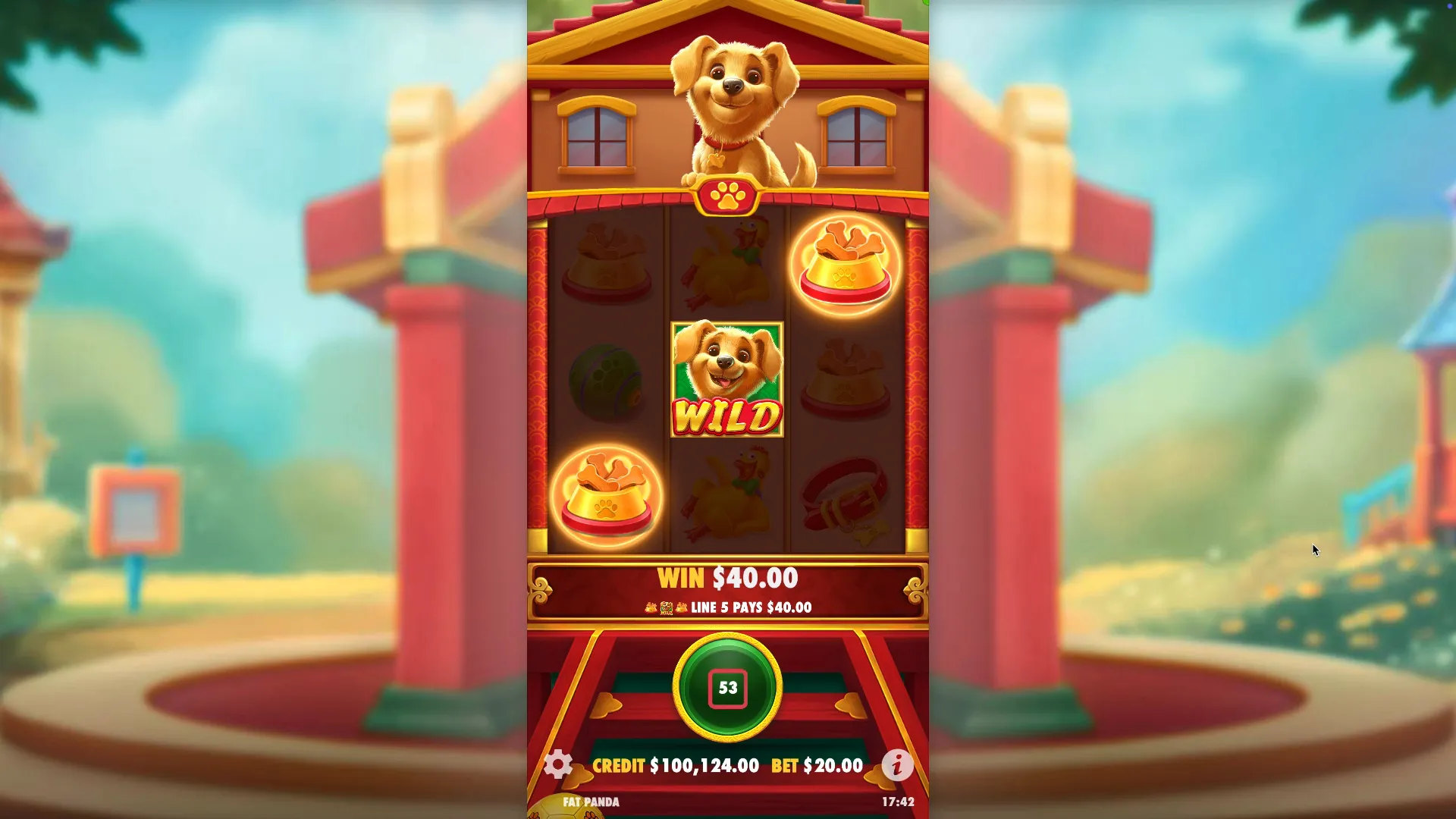 Lucky Dog How to win
